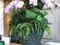 -上海虹桥西郊假日酒店