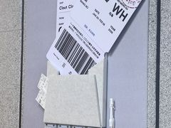 -飞翔公园(地铁站)