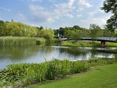 -养云安缦吧THE BAR