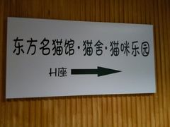 -东方名猫馆·英短金渐层布偶猫舍(环线广场1号楼店)