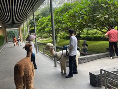 -南宁荔园维景国际酒店·荔园中餐厅
