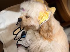 -本無咖啡·BeanWood Coffee