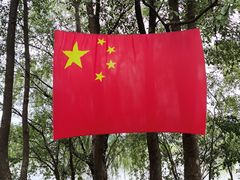 -长兴太湖图影湿地文化园
