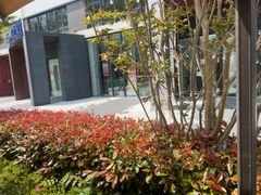 -必胜客(上海华谊新所店)