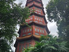 -房湖公园