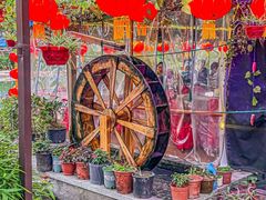 -晓琦农家菜馆·地道农家菜