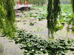 -长春市南湖公园