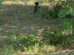 -西青郊野公园