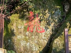 -十八棵（老龙井）御茶园(老龙井店)