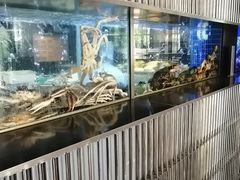 -徐记海鲜(观沙岭|滨江新城店)