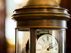 -日日鲜自助餐厅(小公园店)