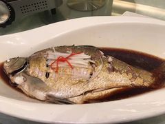 清蒸武昌鱼-亢龙太子酒轩(东湖店)