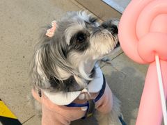 -西贝(上海我格广场店)