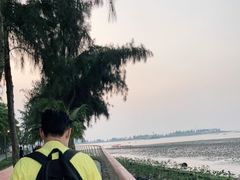 -万绿园