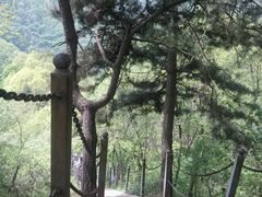 -陕西省红河谷森林公园