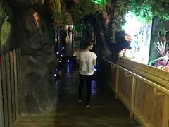 -萌宠奇缘