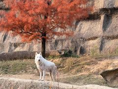 -杭州野生动物世界