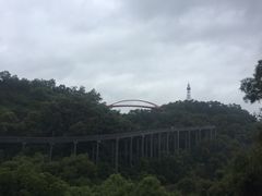 -金鸡山公园