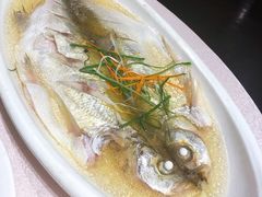 -天福苑(崇宁路店)