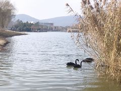 -江南大学(蠡湖校区)