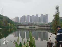 -重庆彩云湖湿地公园