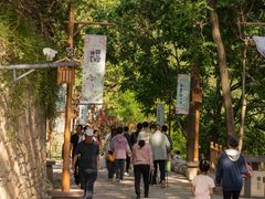 -云丘山景区