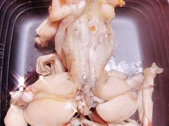 牛蛙-老天桥蛙炉火锅(姑苏总店)
