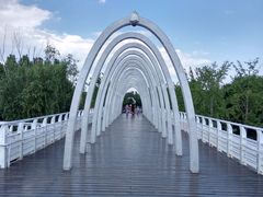 -大兴滨河森林公园