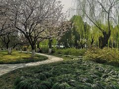 -堤角公园