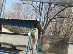 -森林公园(尖草坪区)