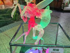 -上海大自然野生昆虫馆(东方明珠·爬宠昆虫探索中心)