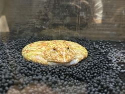 -Zoolung Zoolung动物主题公园(海信广场店)