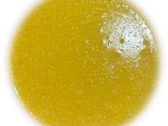 -老班长手工灌汤包老店(东山店)