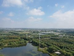 -莲花岛景区