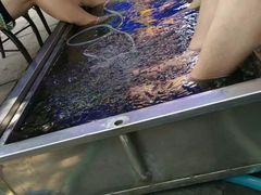 -黄龙溪古镇