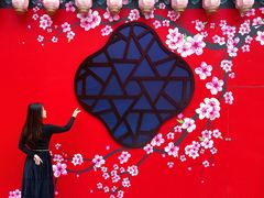 -中街·盛京龙城