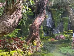 -Chom Cafe and Restaurant