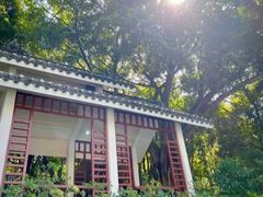 -南宁南湖公园
