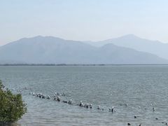 -深圳湾公园(南山区)