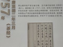 -协和菜馆(凤凰街店)