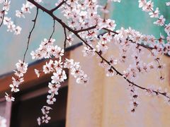 -太阳宫公园