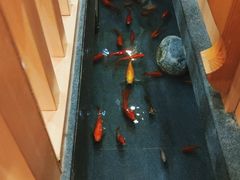 -九田家黑牛烤肉料理(衡百国际店)