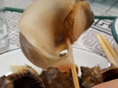 捞汁海螺-雅逸居海鲜小厨