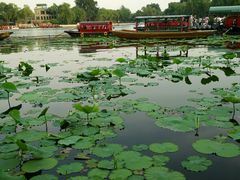 -小王府(什刹海店)