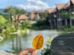 -广州都喜泰丽温泉度假酒店