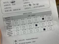 -爱侣宠医·鹦鹉专科·小型哺乳类·异宠专科(灵石路店)