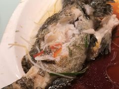 清蒸笋壳鱼-苔圣园酒家(尊木汇国际艺术广场店)
