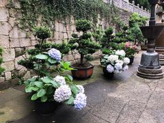 -普陀山风景名胜区-法雨禅寺