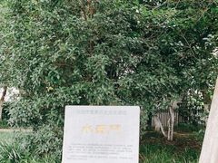 -合肥市图书馆