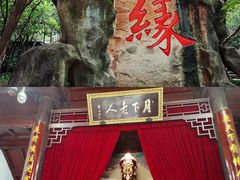 -杭州黄龙洞